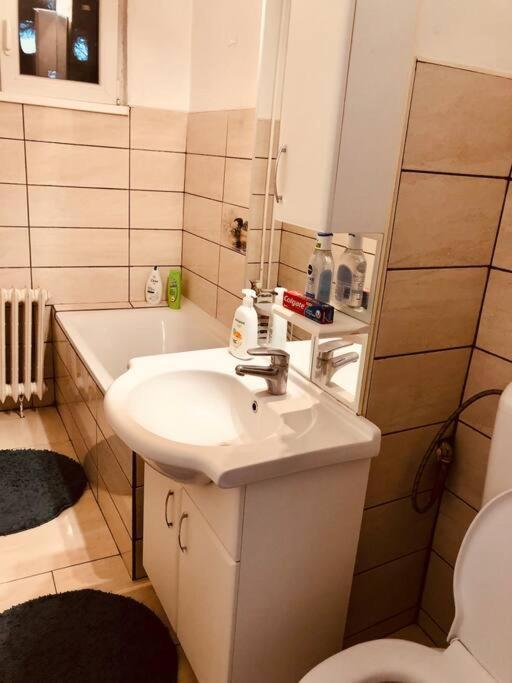 Apt Near Spitalul Judetean, Need Lr14 Timisoara